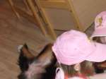 Ginger von der Gro�en Gusen