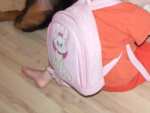 Ginger von der Gro�en Gusen