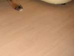 Gustl von der Gro�en Gusen