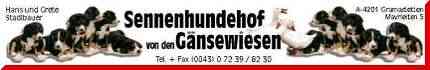 Sennenhundehof