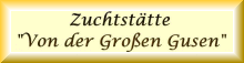 Appenzeller und Berner Sennenhunde 
