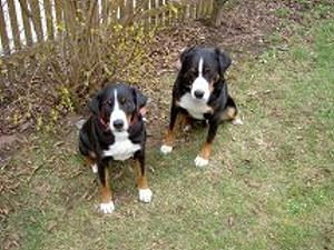 Zorro und Leica